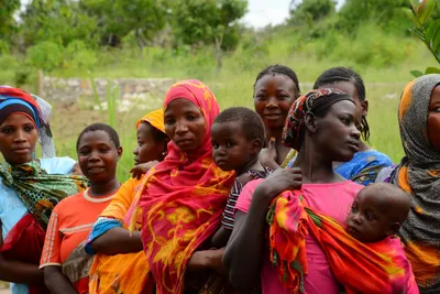 DSC_9455 (Large).JPG